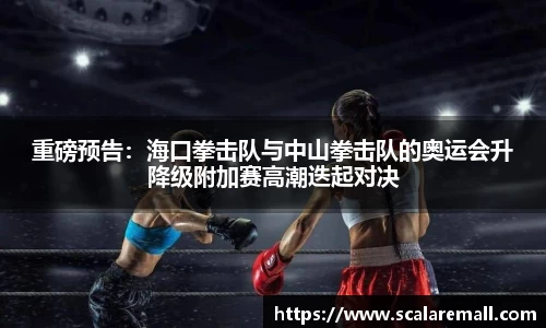 evo视讯中国