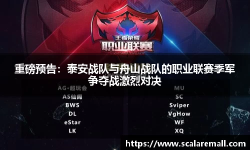 evo视讯中国