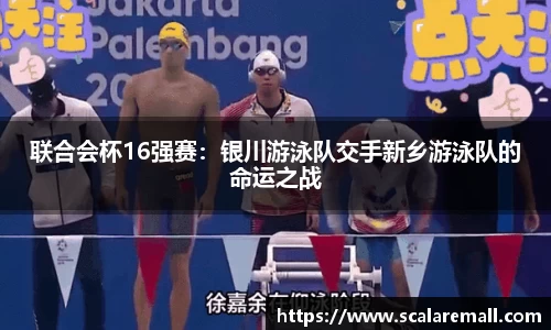 evo视讯平台