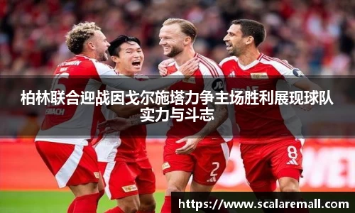 evo视讯官网